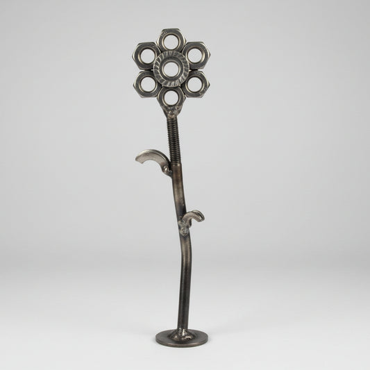 ewige Blume