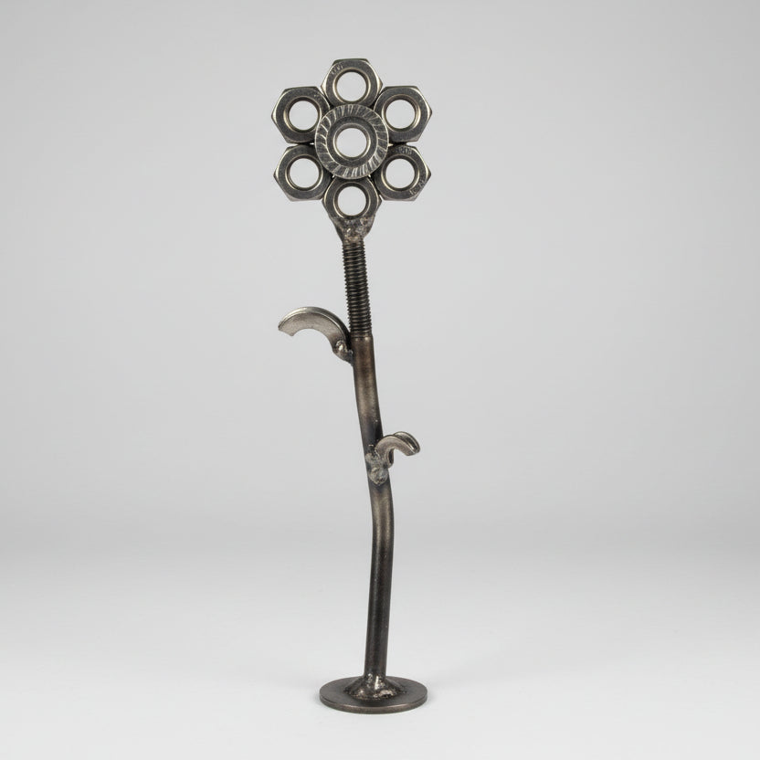 ewige Blume