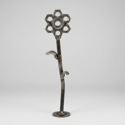 ewige Blume